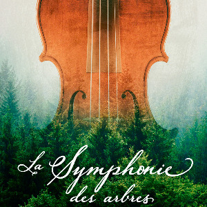 La symphonie des arbres, un film documentaire de Hans Lukas Hansen
