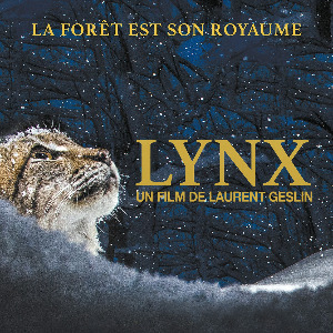 Lynx, un documentaire remarquable de Laurent Geslin en salles le 19 janvier