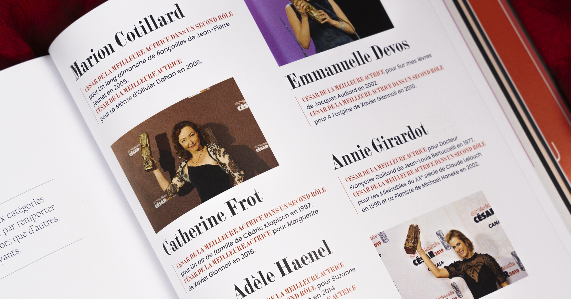 Image 02.jpg (492 KB)