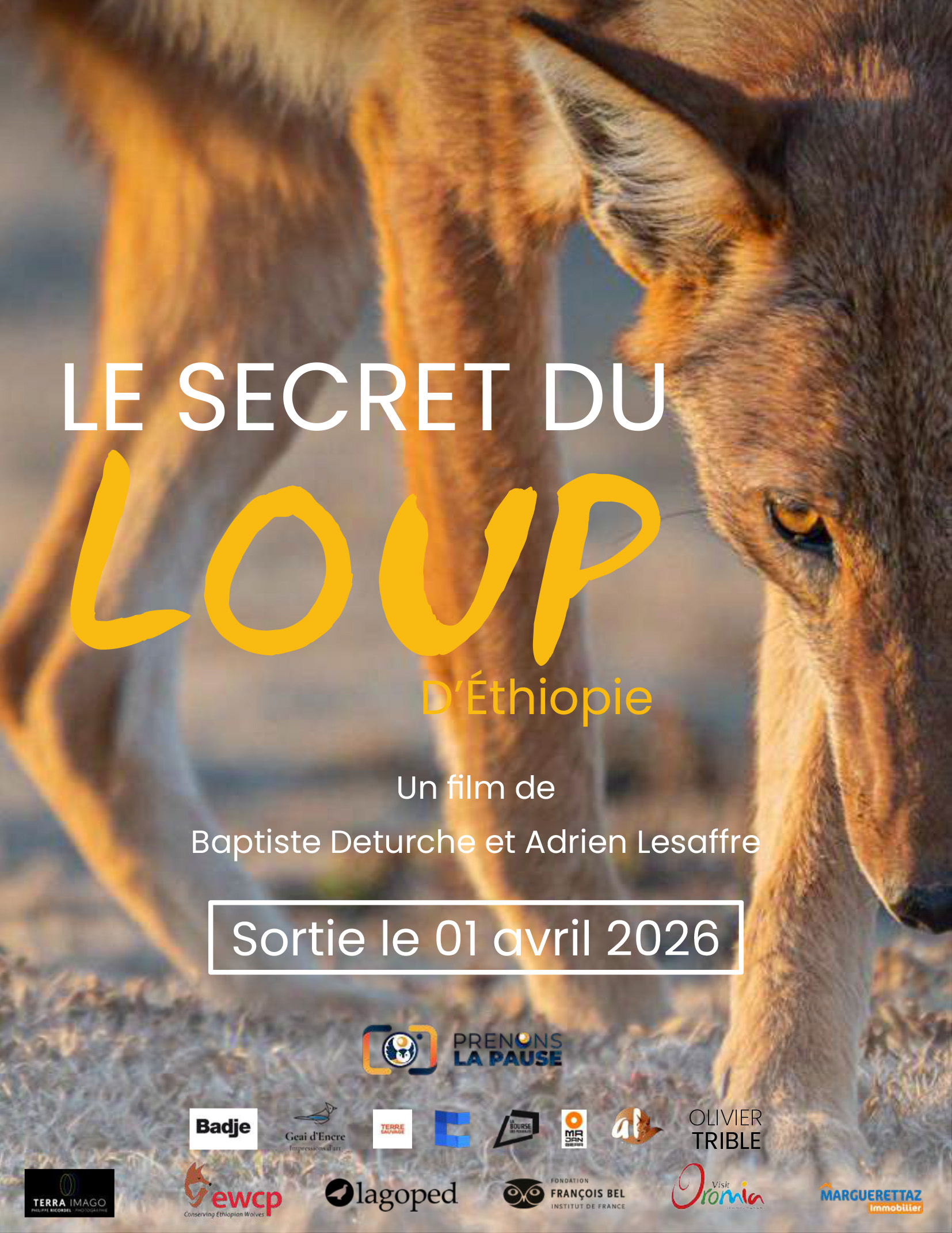 Affiche Secret du Loup.jpg (693 KB)