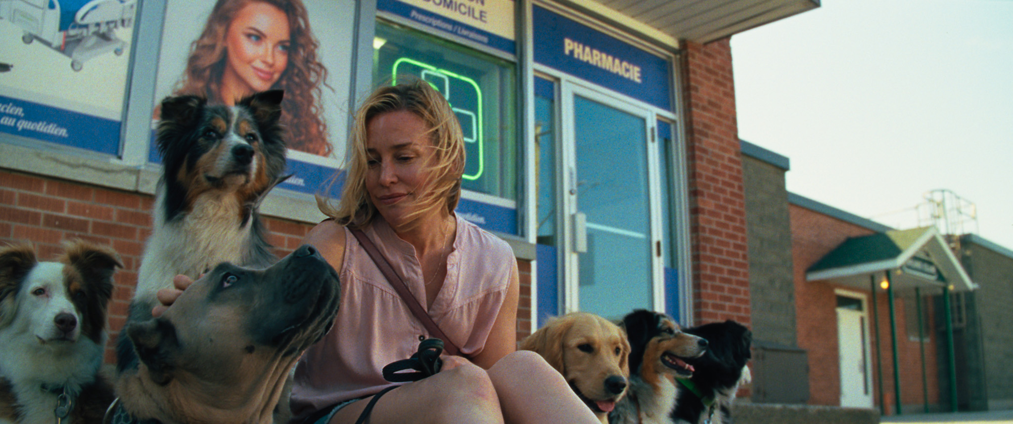 4- Amour Apocalypse ©L'Atelier Distribution.jpg (487 KB)