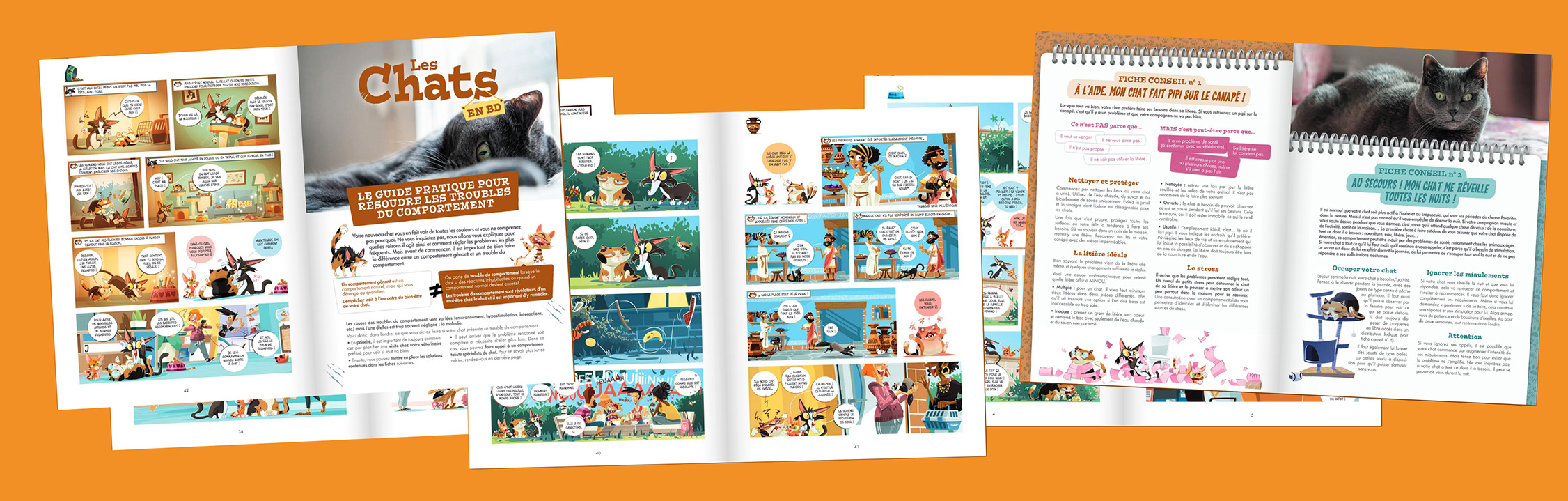 Les chats Montages 01.jpg (577 KB)