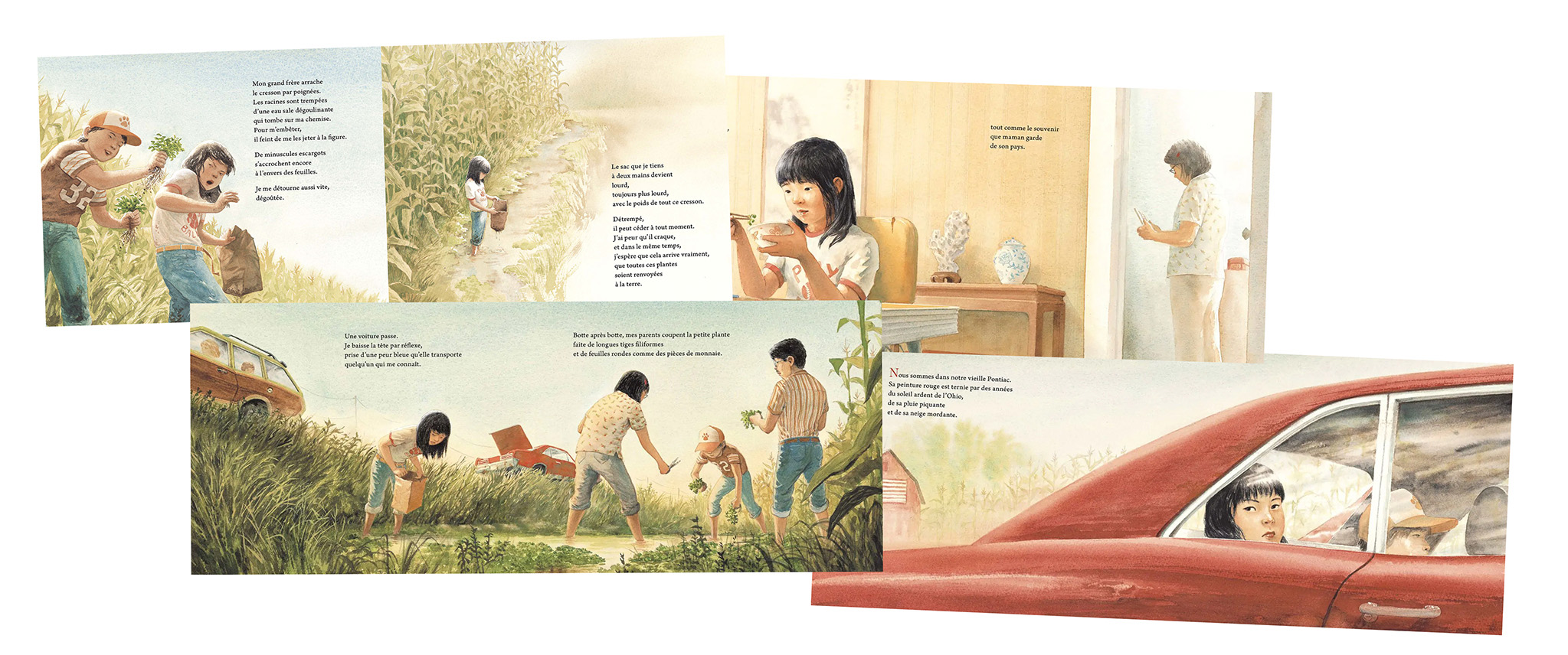 Cresson Montage.jpg (523 KB)