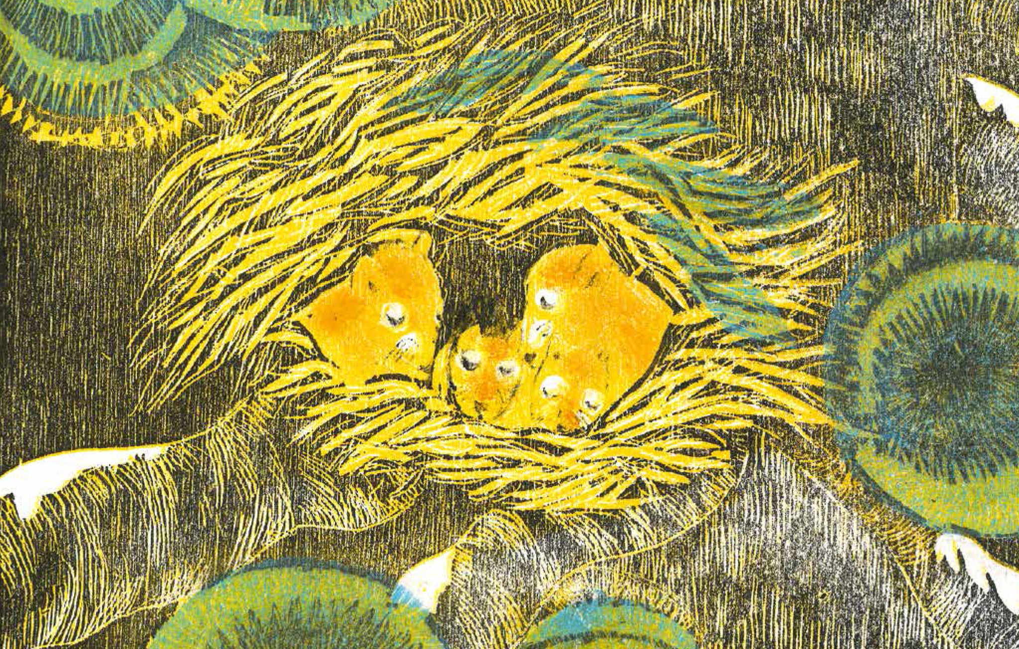 Noisettes.jpg (1.68 MB)