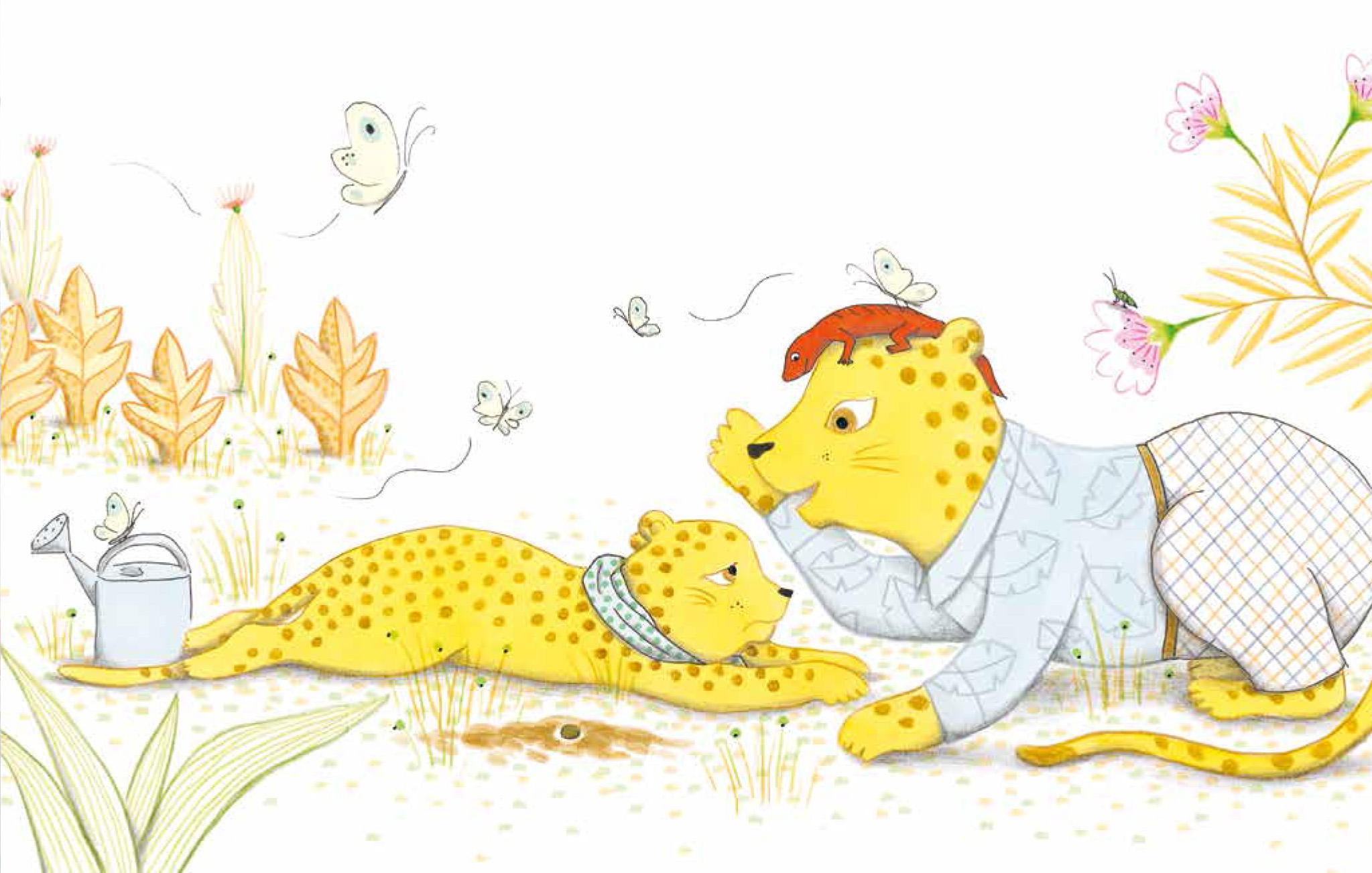 la graine.jpg (487 KB)