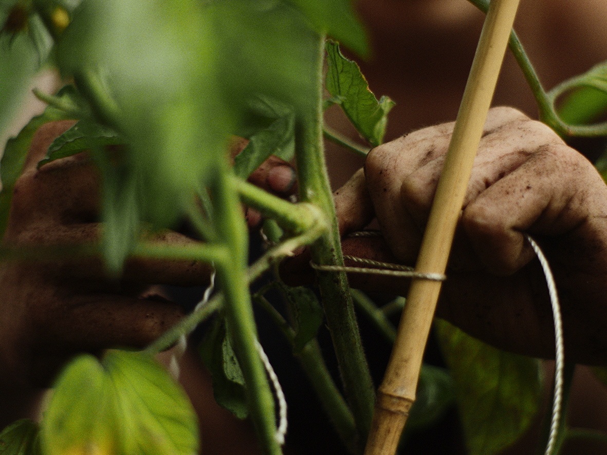 ImageInvincible03.jpg (1.10 MB)