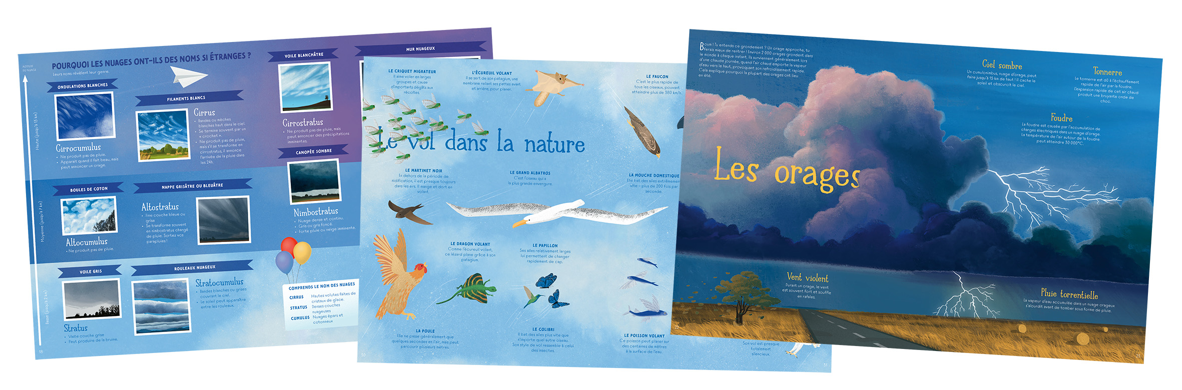 LE CIEL Albatros MONTAGE pages.jpg (594 KB)