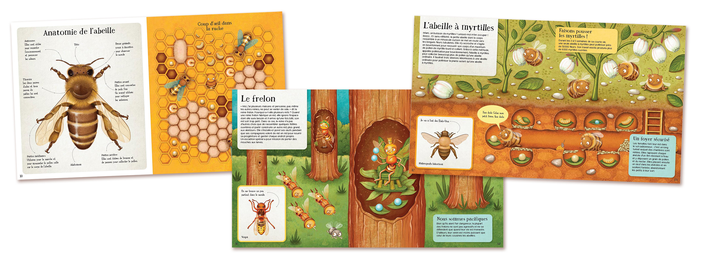 Le monde des abeilles Montage.jpg (667 KB)