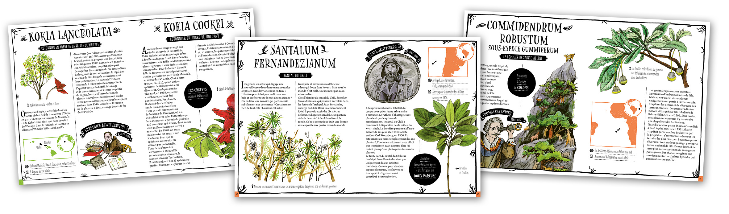 Livre des plantes disparues Montage.jpg (622 KB)