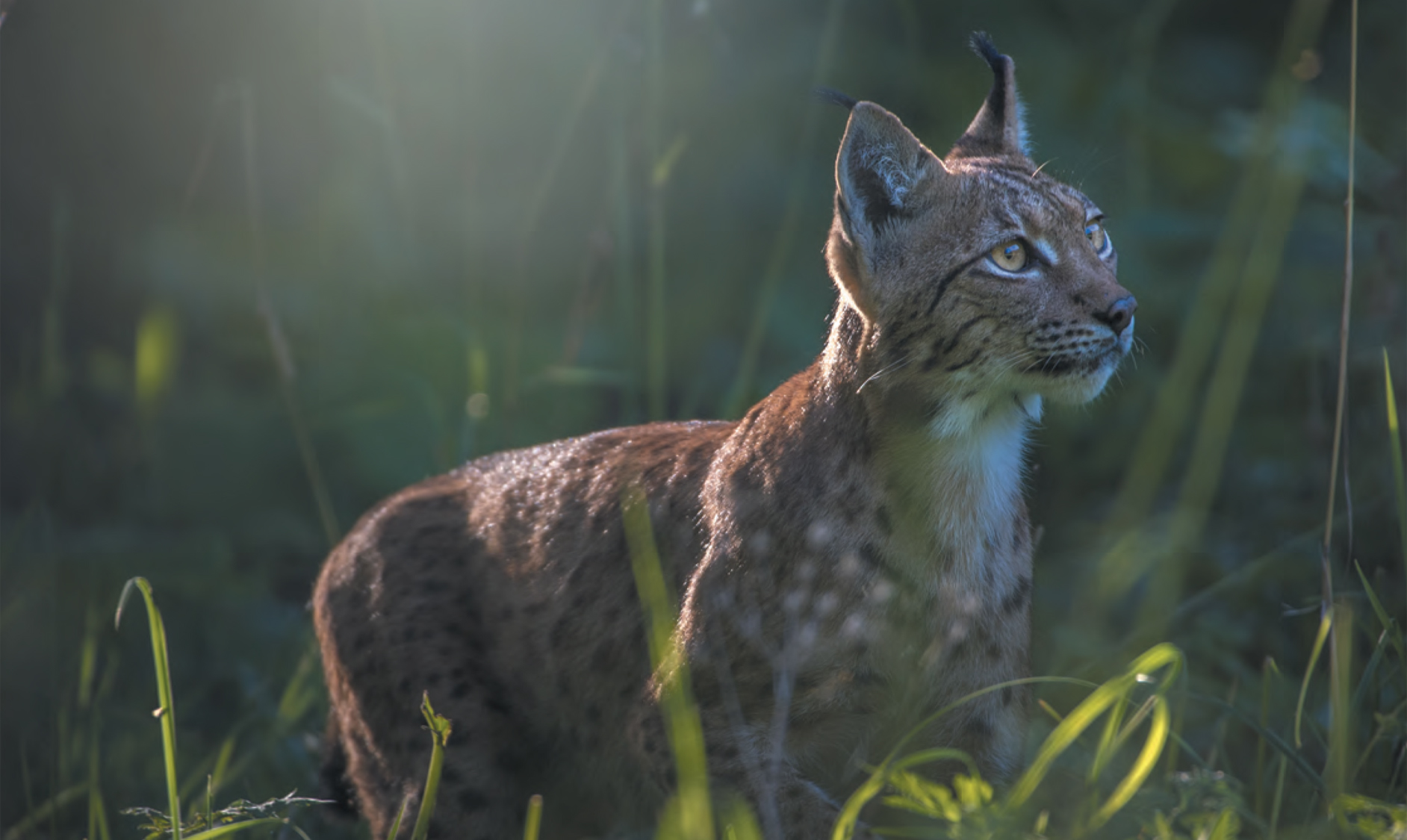 Photo 01.jpg (585 KB)