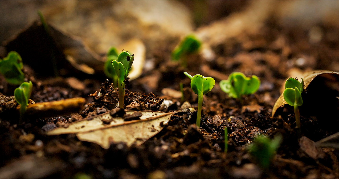 MISSION REGENERATION_07_WEB.jpg (733 KB)