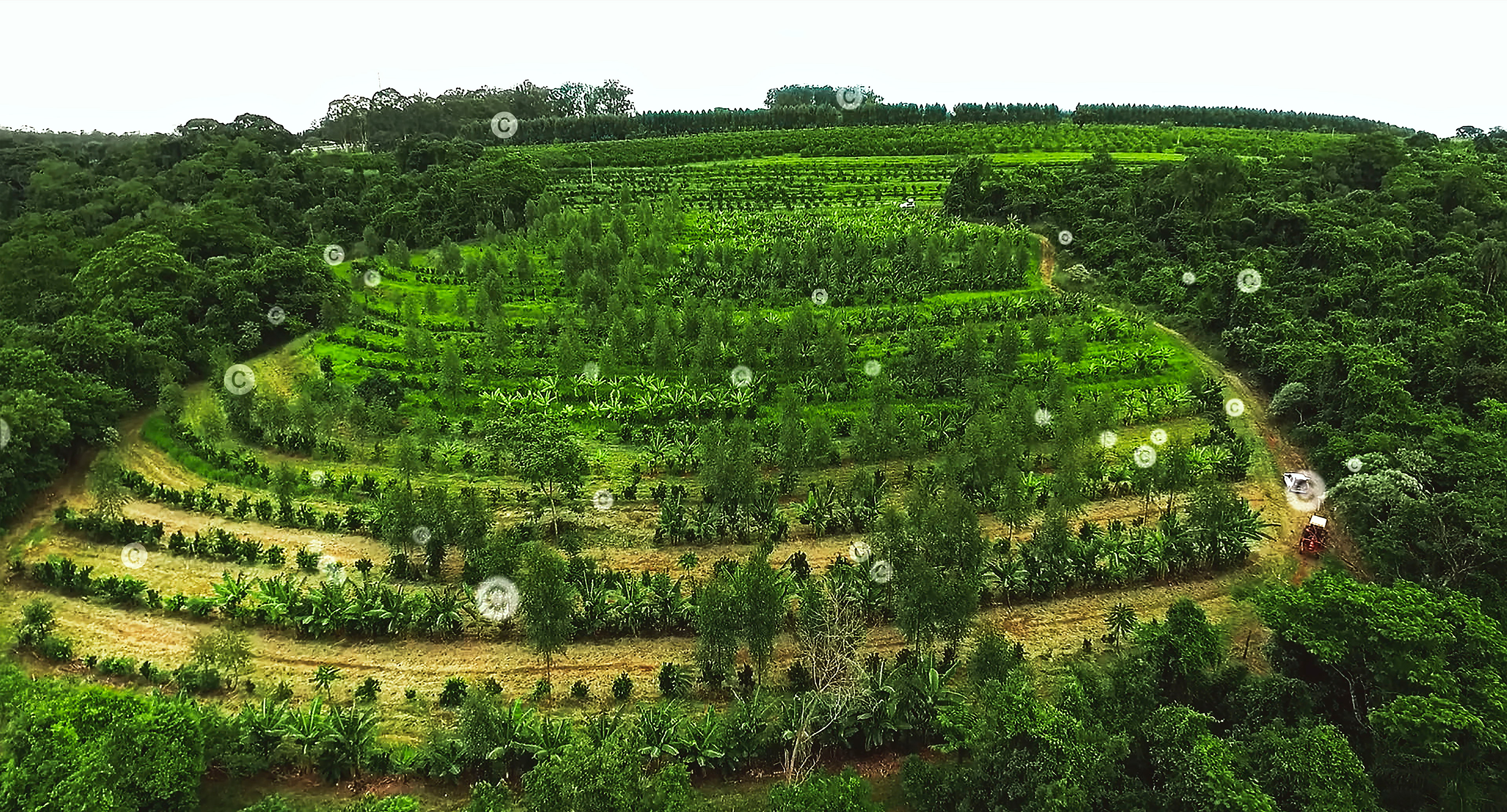 MISSION REGENERATION_51_WEB.jpg (3.68 MB)