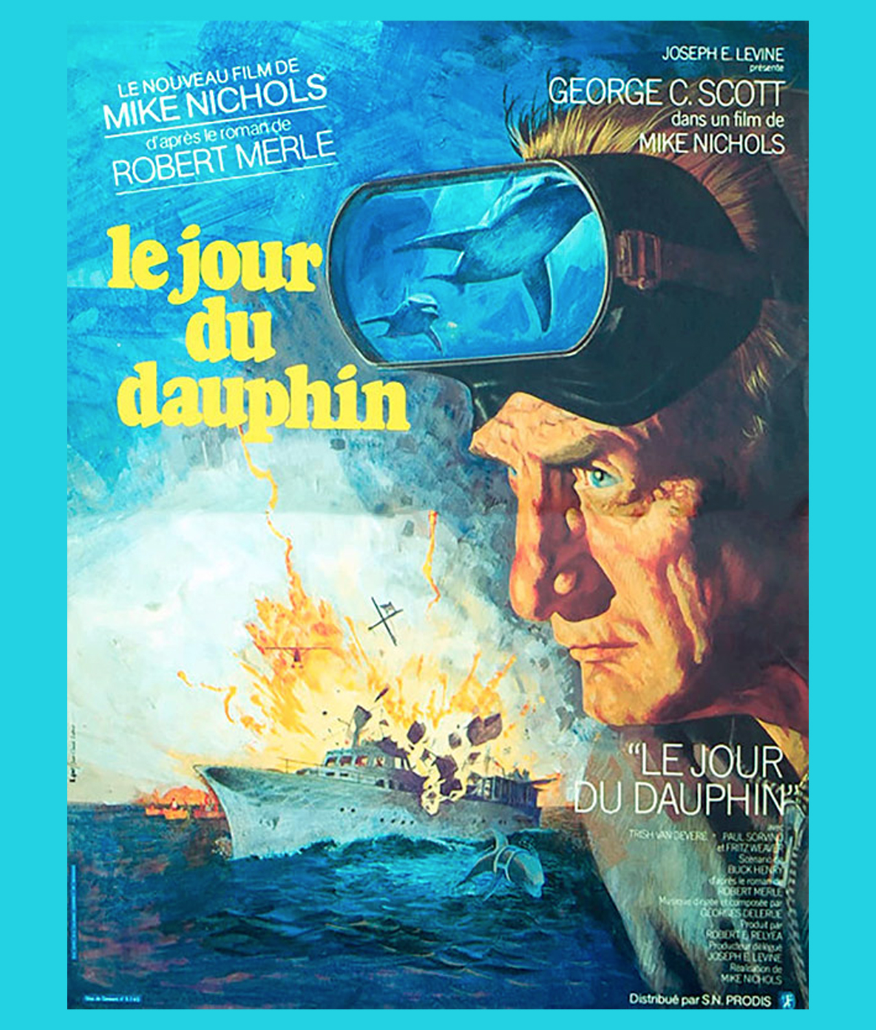 Dolphin.jpg (1.03 MB)