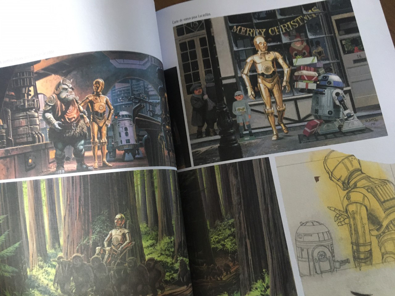 thumbnail_IMG_2727.jpg (655 KB)