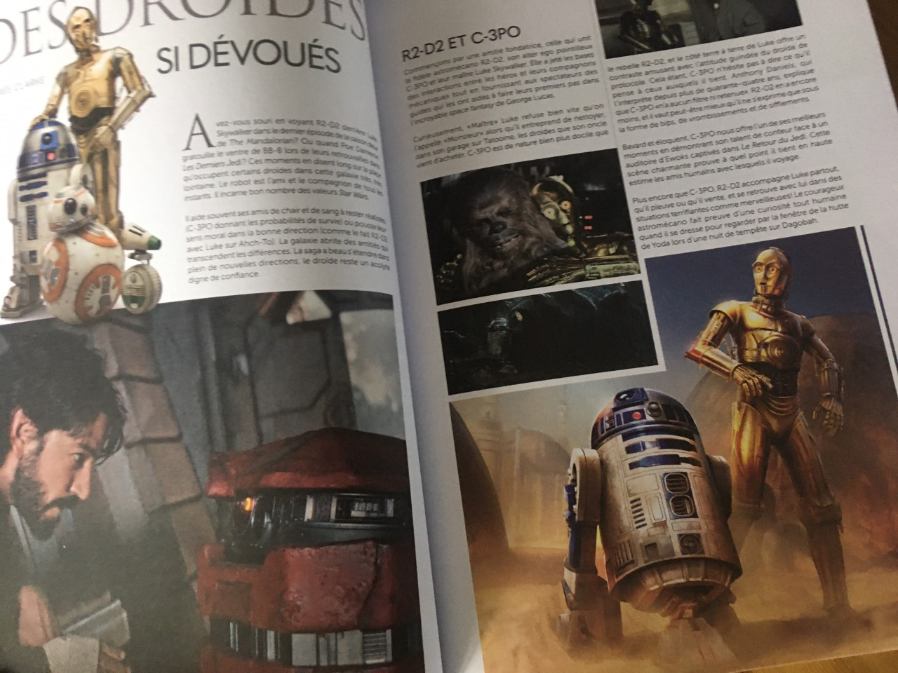 thumbnail_IMG_2728.jpg (582 KB)