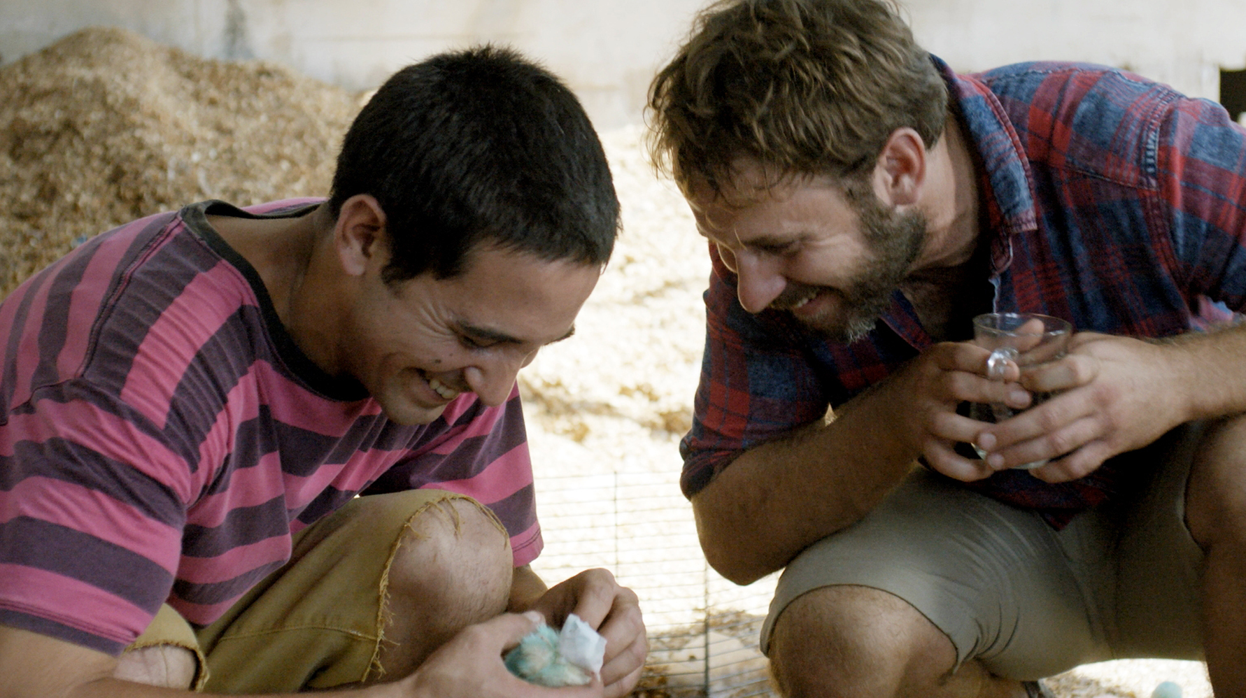 UnHavredePaix 04.jpg (1.25 MB)