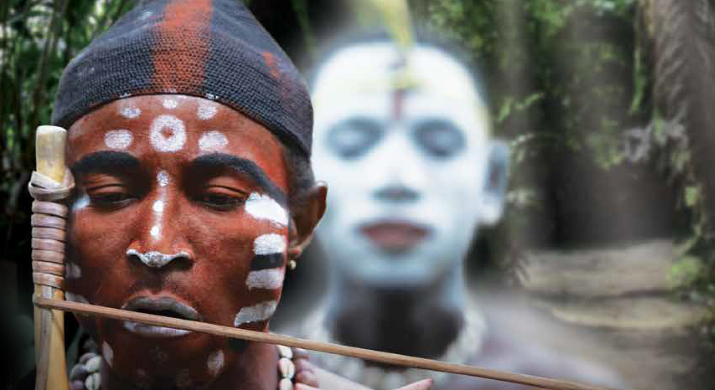 VISION02.jpg (1.22 MB)