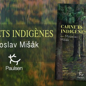 ‘Carnets indigènes’ de Miroslav Mišák, un très beau roman à découvrir, première œuvre d'un auteur prometteur !