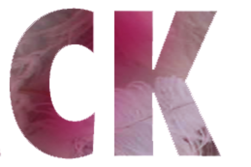 BLACK INDIANS. Une autre histoire, une autre Amérique !