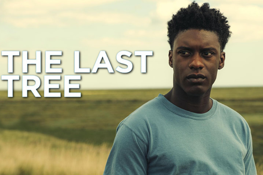 SORTIE VOD : THE LAST TREE, UN SUPERBE FILM À VOIR !