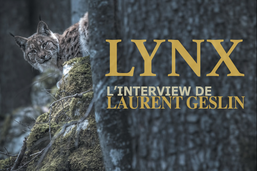 LYNX : INTERVIEW DU RÉALISATEUR LAURENT GESLIN