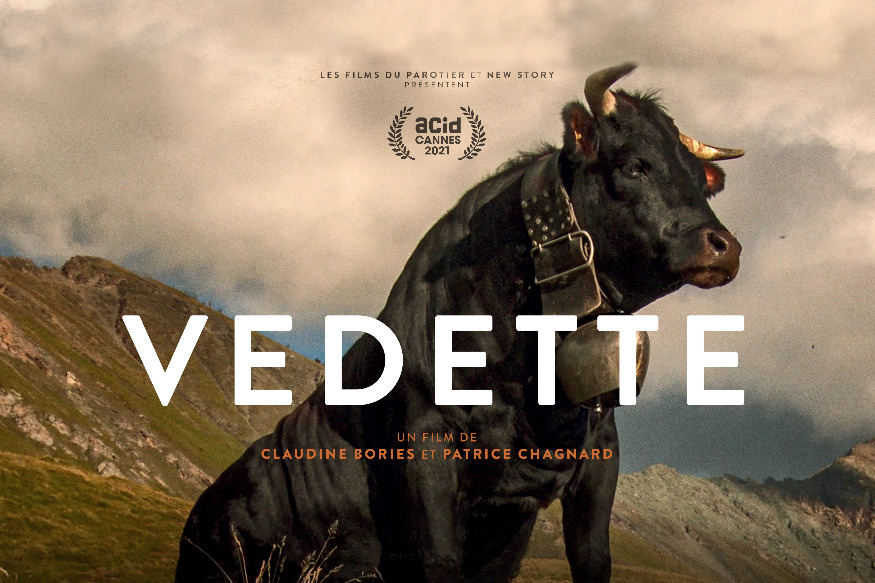 Vedette, le film documentaire qui nous fait ‘vachement’ du bien !