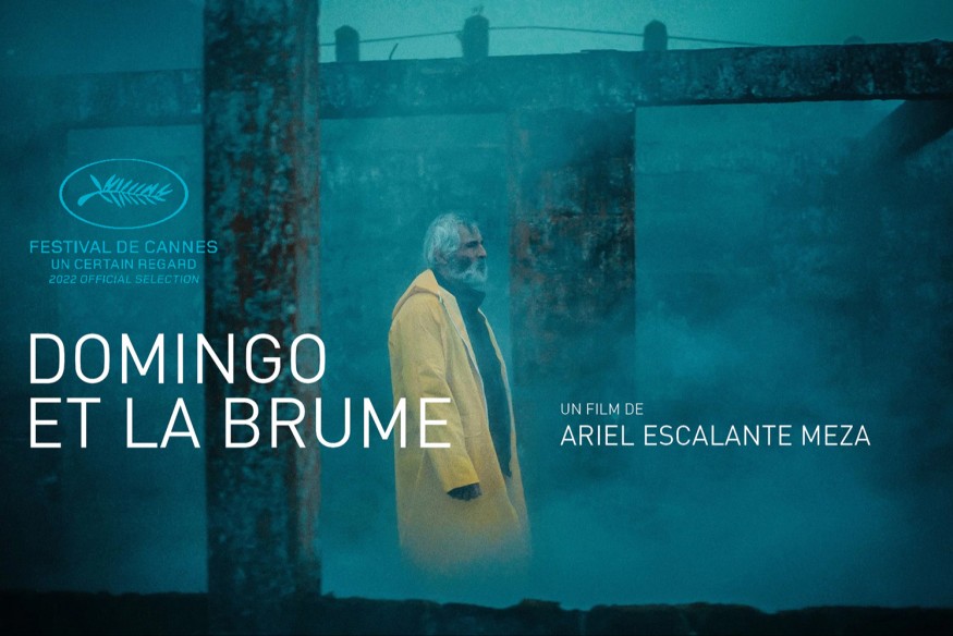 Domingo et la brume, un film de Ariel Escalante Meza à découvrir absolument : critique & entretien