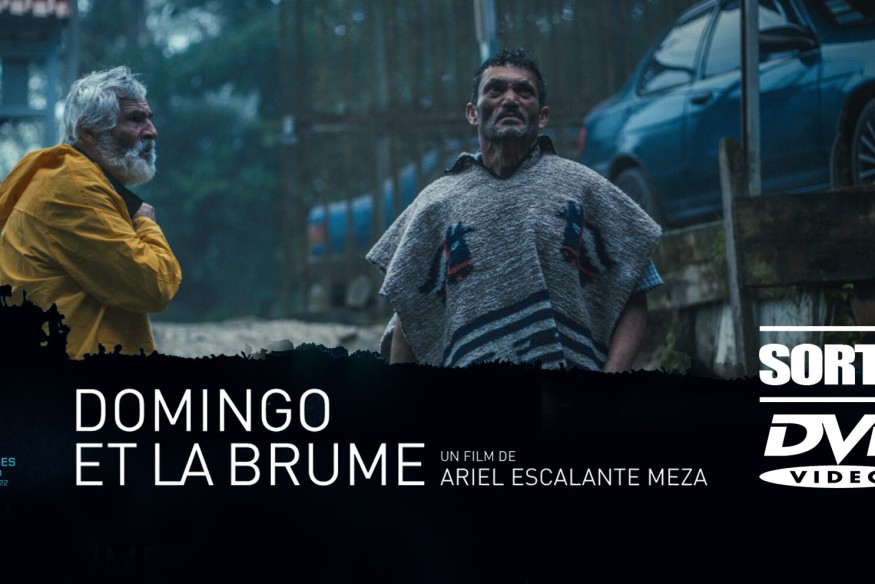 Sortie DVD : 'Domingo et la brume' de Ariel Escalante Meza