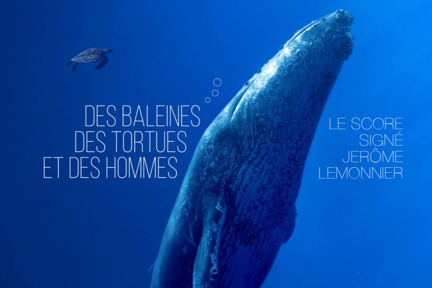 "Des baleines, des tortues et des hommes", le nouveau documentaire de Rémy Tezier, le nouveau score de Jérôme Lemonnier !