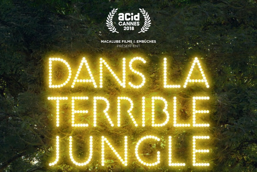 Critique du Film Documentaire DANS LA TERRIBLE JUNGLE
